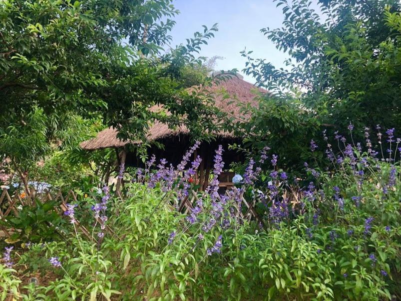 Savana Moc Chau Bed & Breakfast Exterior photo