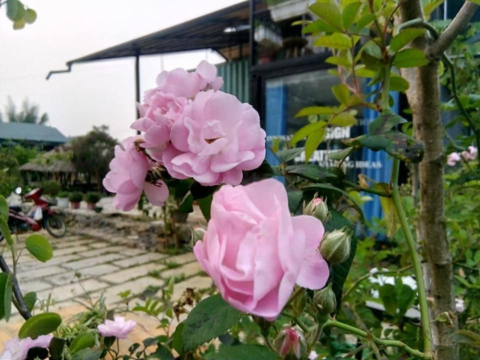 Savana Moc Chau Bed & Breakfast Exterior photo